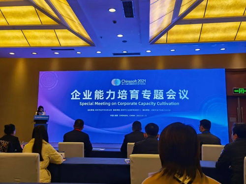 中科大旗荣获成都市软件与信息技术服务企业能力成熟度三星等级证书，彰显IT咨询领先实力