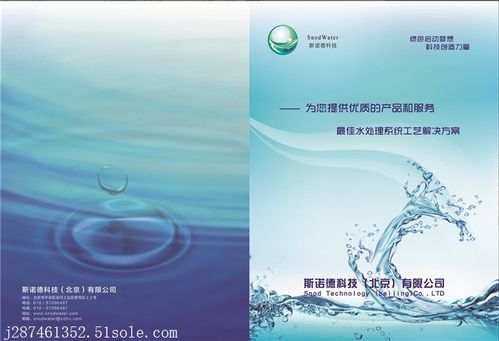 信息技术咨询服务 企业数字化转型的关键驱动力